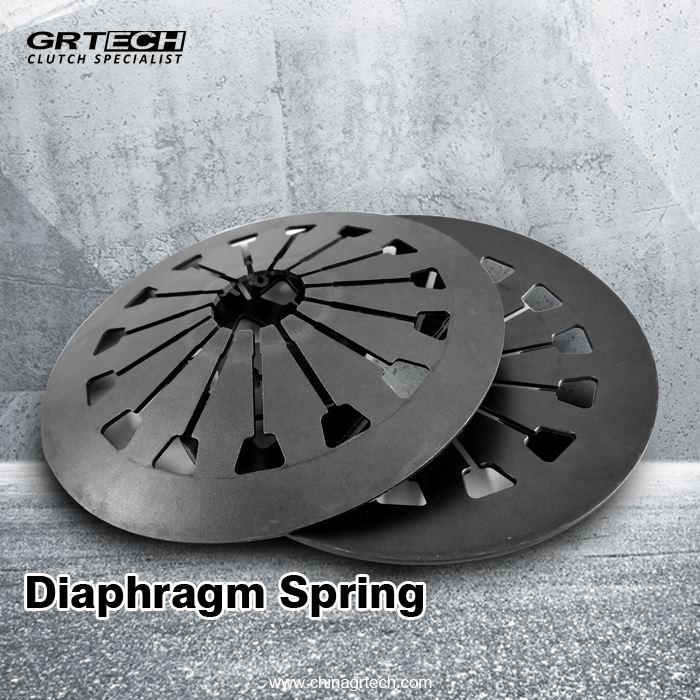 Diaphragm Spring SP100